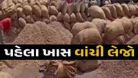 ગુજરાતના ખેડૂતો માટે ખુશખબર! મગફળી વેચવા આ યાર્ડની પસંદગી કરો, થઇ જશો માલામાલ