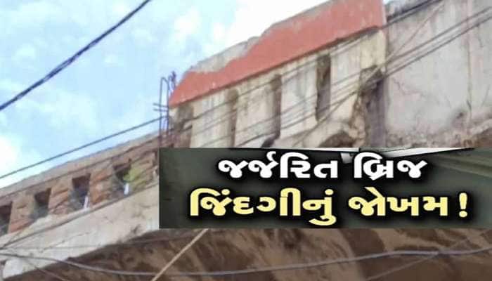 વડોદરાવાસીઓ સાચવી લેજો! મોરબી જેવી દુર્ઘટના થશે તો જવાબદાર કોણ, આ 12 બ્રિજ છે ક્ષતિ