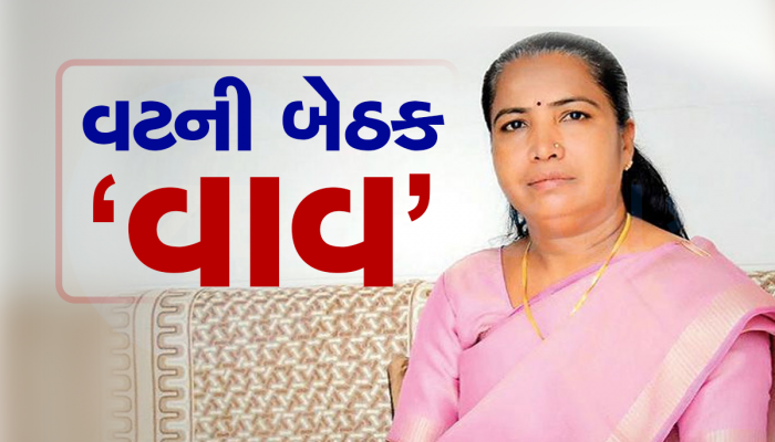 ભાજપ ગુજરાતમાં જ્યાં હાર્યું એ વાવ બેઠક પર પેટાચૂંટણીની જાહેરાત, નવેમ્બરમાં આ તારીખે થશે 