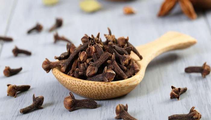 Clove: આ વસ્તુ સાથે લવિંગ લેવાથી થાય છે જોરદાર ફાયદો, દવા વિના મટવા લાગશે બીમારીઓ