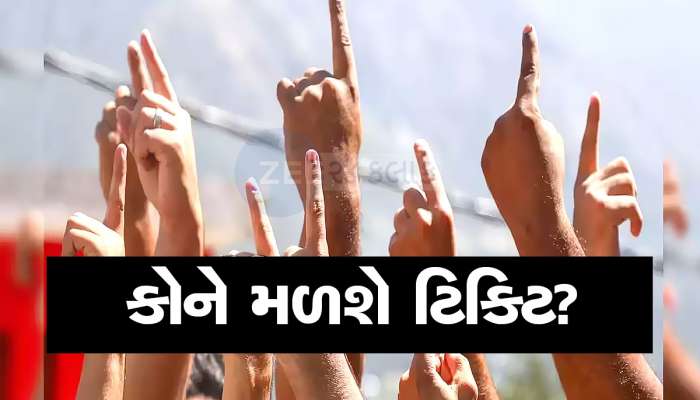 વાવ પેટાચૂંટણી માટે સામે આવ્યા સંભવિત ઉમેદવારોના નામ, ભાજપ-કોંગ્રેસના આ નેતાઓ રેસમાં