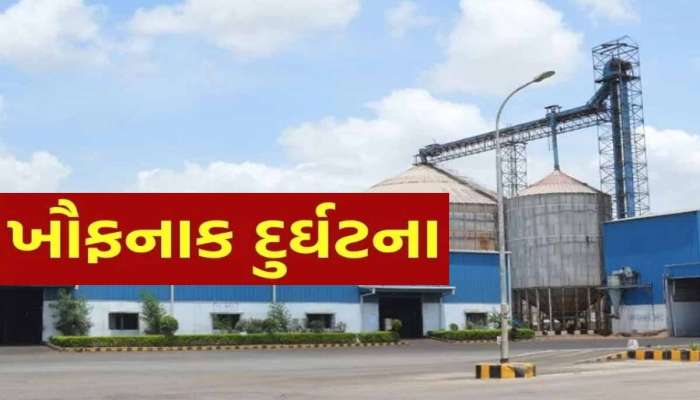કંડલામાં ઈમામી એગ્રો ટેક કંપનીમાં મોટી દુર્ઘટના! ગૂંગળામણથી 5 શ્રમિકોના દર્દનાક મોત