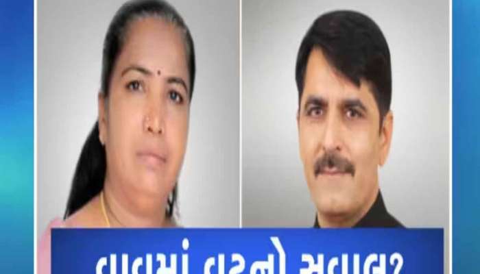 બનાસકાંઠાની 'વાવ' જીતવા ભાજપે શું બનાવી મજબૂત રણનીતિ? વટનો સવાલ બની આ પેટાચૂંટણી!