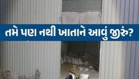 આ જીરુ મારી નાંખશે! ફેક્ટરીમાંથી એવી એવી વસ્તુઓ ઝડપાઈ કે જાણી ખાવાનું છોડી દેશો!