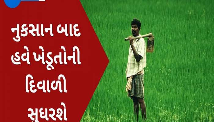 ખેડૂતો માટે 1 હજાર કરોડનું રાહત પેકેજ જાહેર કરી શકે છે સરકાર, ભારે વરસાદને કારણે પાકને થયું હતું નુકસાન