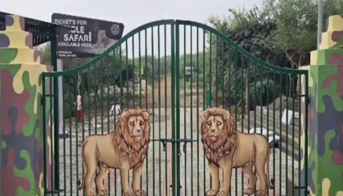 ફરવાના શોખીનો માટે સારા સમાચાર, ગુજરાતના આ જિલ્લામાં શરૂ થશે જંગલ સફારી, જાણો વિગત