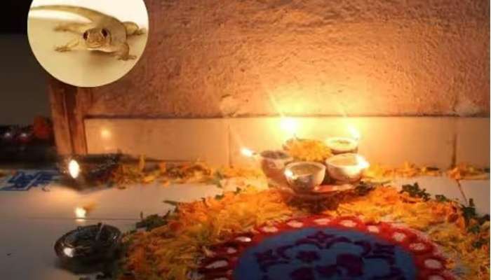 દિવાળીનો આ ડરામણા જીવ સાથે ખાસ કનેક્શન, અંબાણી જેવા ધનકુબેર બનવાનો સંકેત!