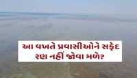 આ વખતે સફેદ રણની ચમક માણવા જોવી પડશે લાંબી રાહ! દિવાળી પર પ્લાન હોય તો જાણી લેજો! 