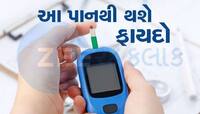 દરરોજ ચાવી લો આ લીલું પાન, કંટ્રોલમાં રહેશે બ્લડ સુગર અને કોલેસ્ટ્રોલ
