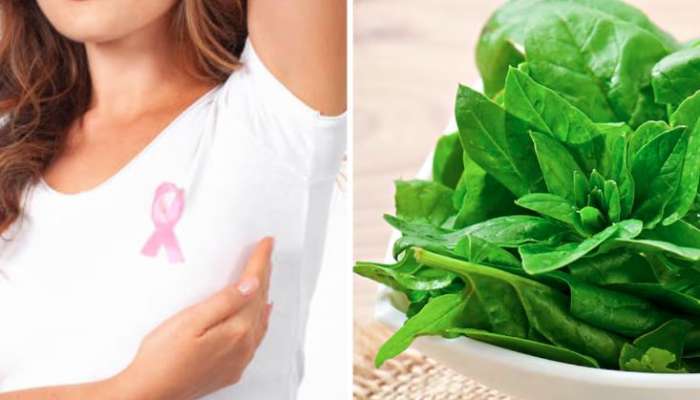 રેડિયોલોજિસ્ટે જણાવ્યું કે, બ્રેસ્ટ કેન્સરથી બચાવી શકે છે આ 5 ફૂડ્સ