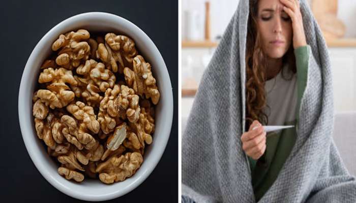 Walnuts: શિયાળામાં રોજ 5 અખરોટ ખાઈ લેવા, આ પાંચ સમસ્યાઓ તમારાથી રહેશે સો ફૂટ દૂર