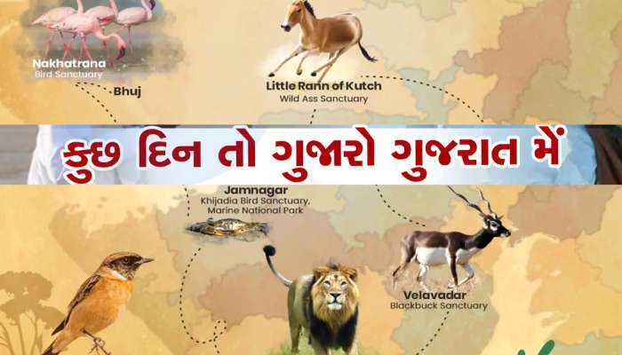 ગુજરાતમાં ફરવા માટે ઢગલો જગ્યા છે! આ 48 ઈકો ટુરિઝમ સાઈટના લિસ્ટ પર પહેલા નજર દોડાવો