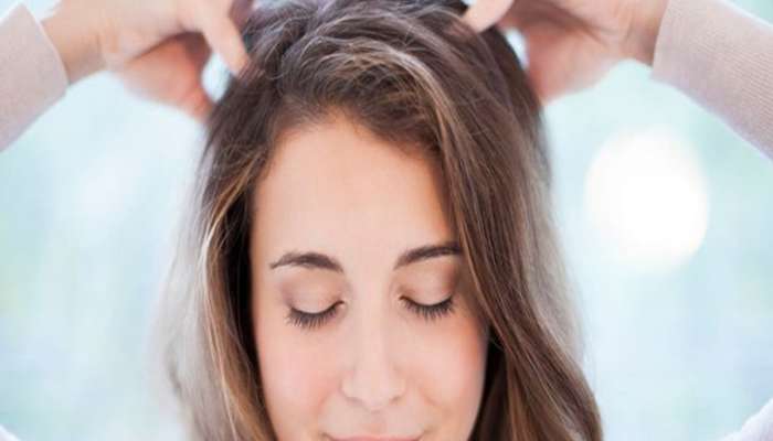 Hair Fall: આ તેલ લગાડશો તો ખરતા વાળની સમસ્યાથી મળશે કાયમી છુટકારો 