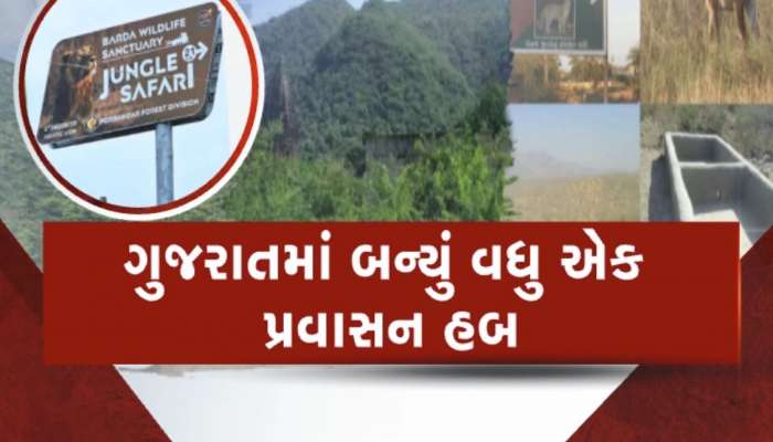 ગુજરાતીઓને ફરવા માટે મળ્યું વધુ એક સ્થળ, બરડા ડુંગર પણ હવે કરી શકશો સિહં દર્શન, જાણો કેટલી હશે ફી