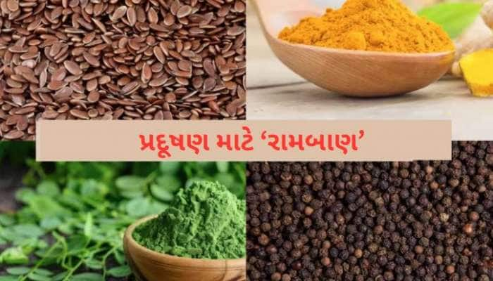 પ્રદૂષણથી છો પરેશાન? આ 10 સૂપર ફૂડ ખાશો તો હંમેશા રહેશો ચૂસ્ત અને તંદુરસ્ત