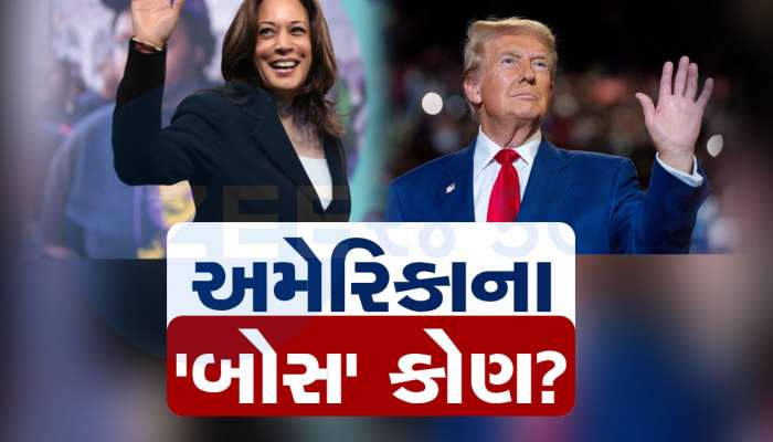 2024 US Election Results: અમેરિકાના 47માં રાષ્ટ્રપતિ બનશે ડોનાલ્ડ ટ્રમ્પ! ટ્રેન્ડમાં મળ્યો બહુમત, જોતા રહી ગયા કમલા હેરિસ