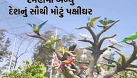 એક એવું અનોખું પક્ષીઘર જ્યાં પર્યટકોની લાગે છે લાઈનો! 10 કરોડથી વધુના ખર્ચે 3 એકરમાં