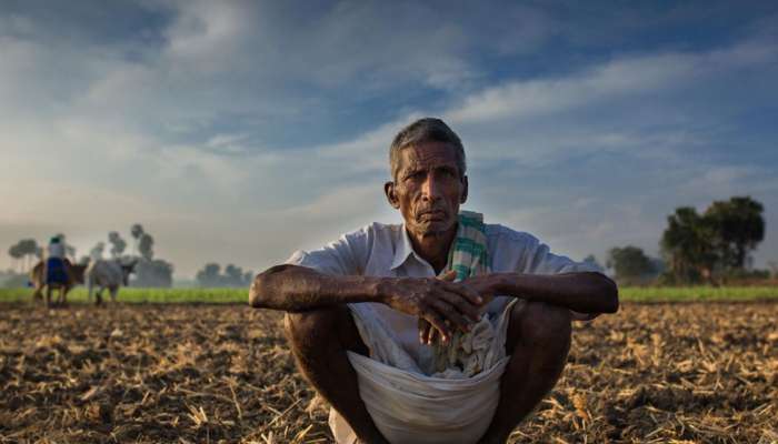 કેવી રીતે કરવી શિયાળું પાકની વાવણી? DAP ખાતરની અછતથી ખેડૂતો ચિંતાતૂર!