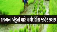 રવિ પાકોનું વાવેતર કરતા ખેડૂતો માટે સરકારે જાહેર કરી એડવાઈઝરી! જાણો શું રાખવી કાળજી?