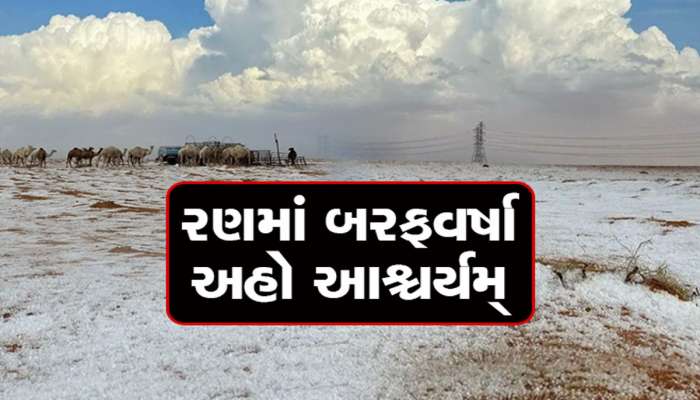 દુનિયાના આ દેશમાં ચમત્કાર સર્જાઈ ગયો! સદીઓમાં પહેલીવાર સાઉદીમાં આવું થયું