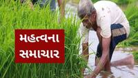 રેકોર્ડ તોડશે અનાજનો ભંડાર!  ચોખા અને મકાઈનું થશે રેકોર્ડબ્રેક ઉત્પાદન