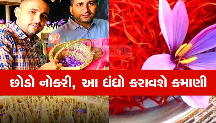 ખેતરમાં નહીં તમારા ઘરના રૂમમાં ઉગાડો આ મસાલો, એક કિલોના છે 5 લાખ રૂપિયા ભાવ