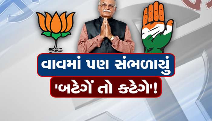 વાવથી કોણ ગાંધીનગર પહોંચશે? ન ભાજપ ન કોંગ્રેસ, અપક્ષ ઉમેદવાર બની રહ્યાં છે હુકમનો એક્કો