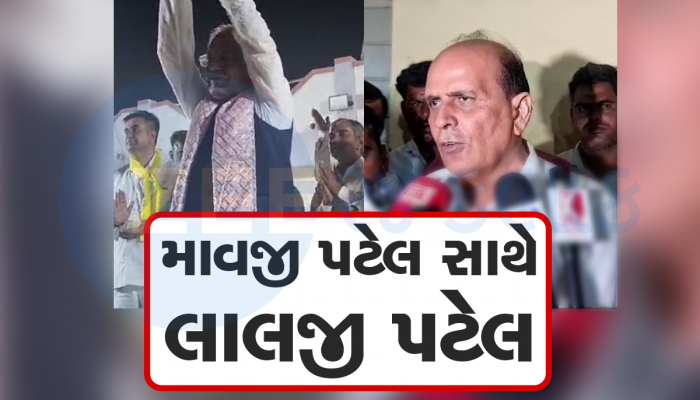વાવની પેટાચૂંટણી બની રસપ્રદ, અપક્ષ ઉમેદવારની સભામાં ભાજપના નેતાનો મોટો ધડાકો