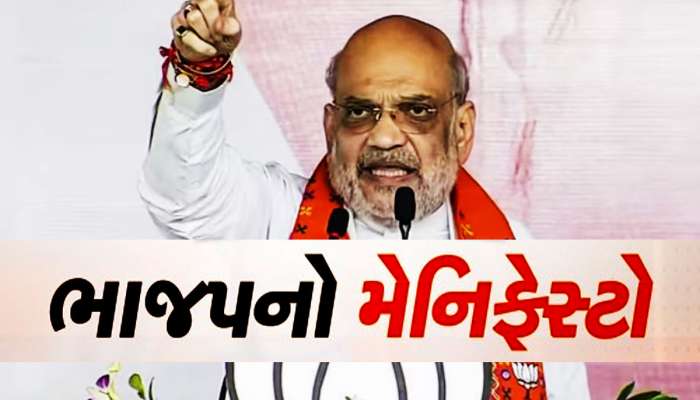 મહારાષ્ટ્રની ચૂંટણી માટે ભાજપનું સંકલ્પ પત્ર જાહેર; કરાયો 25 લાખ નોકરીઓ આપવાનો વાયદો