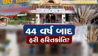 ગુજરાતમાં 44 વર્ષ બાદ ફરી થઈ હરિત ક્રાંતિ, ભંડાર ભરાય તેવા નવા પ્રકારના ઘઉંની જાતિ વ