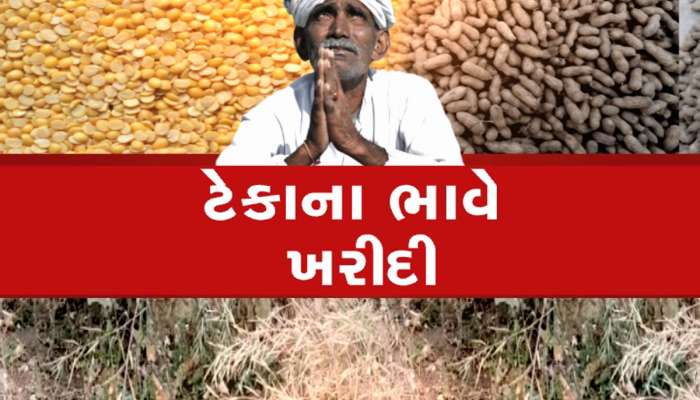 ગુજરાતના ખેડૂતોને નવું વર્ષ ફળ્યું, આજથી 4 પાકની ટેકાના ભાવે ખરીદીનો થયો પ્રારંભ