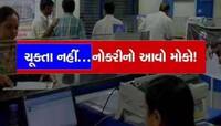 આ બેંકમાં સીધી નોકરીની મોટી તક, નીકળી બમ્પર ભરતી! નજીક છે અરજી કરવાની છેલ્લી તારીખ