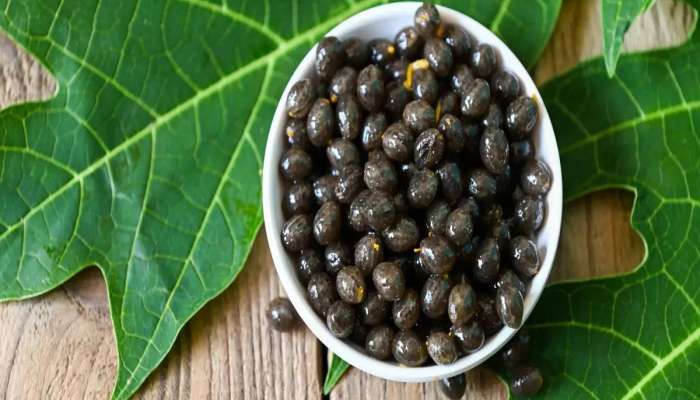 Papaya Seeds: સવારે વાસી મોઢે ખાઈ લો આ ફળના બી, કબજિયાત મટી જશે અને બેડ કોલેસ્ટ્રોલ પણ ઘટશે