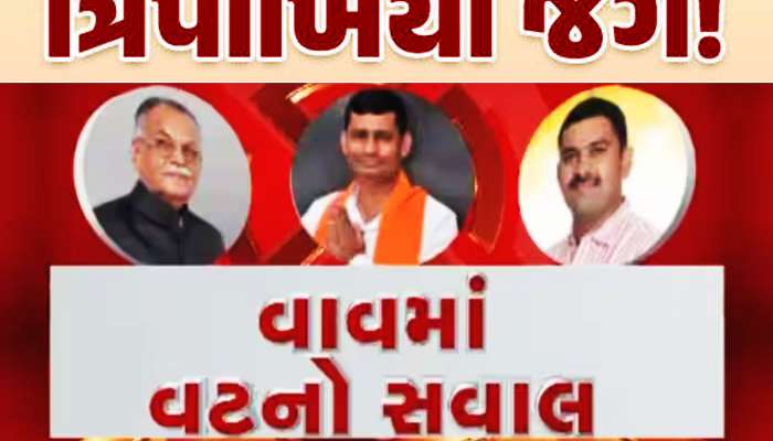 વાવમાં વટનો સવાલ! ભાજપ, કોંગ્રેસ અને અપક્ષ વચ્ચે ત્રિપાખિયો જંગ; જાણો વિગતવાર
