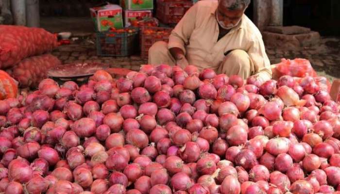 Onion Prices: મોંધી ડુંગળીથી મળશે છુટકારો, વધતી કિંમતને રોકવા માટે શું છે સરકારનો પ્લાન?