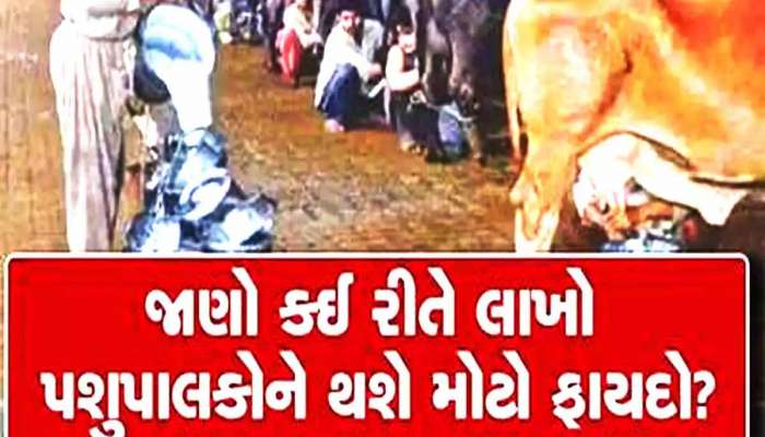 પશુપાલકોના હિતમાં ગુજરાત સરકારનો મોટો નિર્ણય! હવે પશુઓ માટે આ યોજનામાં સરકાર આપશે રૂ