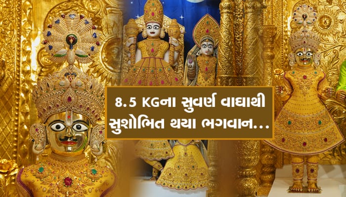 આંખો અંજાઇ જાય એવા વડતાલના દેવોને પહેરાવાયા 8.5 કિલો સોનામાંથી બનેલા વાઘા, તમે પણ થઇ જશો મંત્રમુગ્ધ!