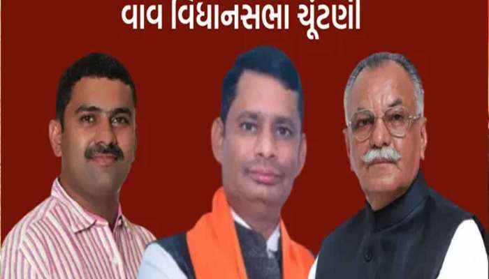 વાવમાં મતદાન પૂર્ણ! અંદાજિત 71 ટકા મતદાન; ભાજપ-કોંગ્રેસ અને અપક્ષ ઉમેદવારોનું ભાવિ EVMમાં સીલ