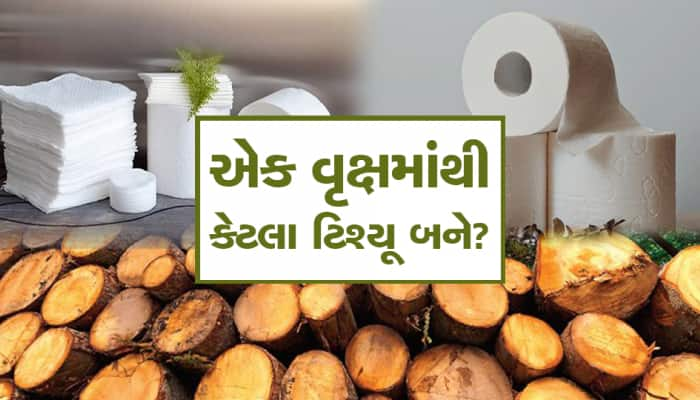 એક વૃક્ષમાંથી કેટલા ટિશ્યૂ પેપર બનાવી શકાય? તમે કદાચ વિચારી નહીં શકો!