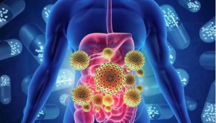 Detox Tips: કિડની અને લિવરમાં ભરાયેલી ગંદકીથી મળશે તરત છુટકારો, ધરે રોજ કરવાનું શરૂ કરો આ એક્સરસાઈઝ