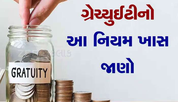 Rules for Gratuity: જો કર્મચારીએ કરી નાખી આ ભૂલ તો થશે મોટું નુકસાન...કંપની રોકી શકે છે તમારા ગ્રેચ્યુઈટીના પૈસા