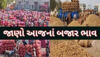 ગુજરાતનું આ માર્કેટિંગ યાર્ડ ડુંગળી-મગફળીની આવકથી ઉભરાયું! જાણો મણદીઠ શું બોલાયા ભાવ
