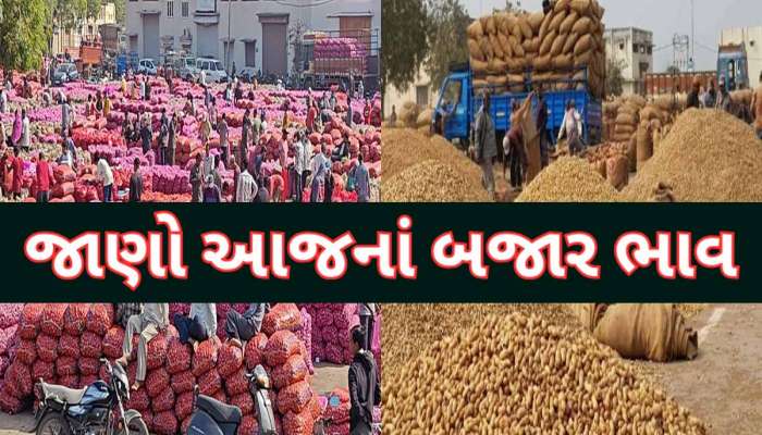 ગુજરાતનું આ માર્કેટિંગ યાર્ડ ડુંગળી-મગફળીની આવકથી ઉભરાયું! જાણો મણદીઠ શું બોલાયા ભાવ
