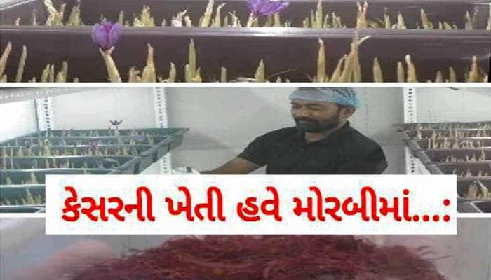 આ પ્રગતિશીલ ખેડૂતનો અસરદાર કીમિયો! કશ્મીરનો મસાલો ઘરમાં ઉગાડી કરે છે લાખોની કમાણી