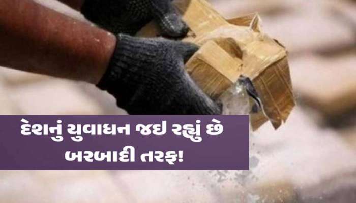અમદાવાદના આ વિસ્તારમાં 14 માળેથી ઝડપાઈ એવી વસ્તુ કે પોલીસ પણ ચોંકી! 5ની ધરપકડ