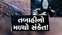 દુનિયામાં તબાહી મચશે? પ્રલયની માછલી તરફથી મળે છે સંકેત! શું સાચી પડશે ભવિષ્યવાણી?
