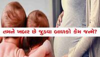 કેવી રીતે પૈદા થાય છે જોડકા બાળકો? જાણો કઈ મહિલાઓમાં હોય છે આવી સંભાવના?