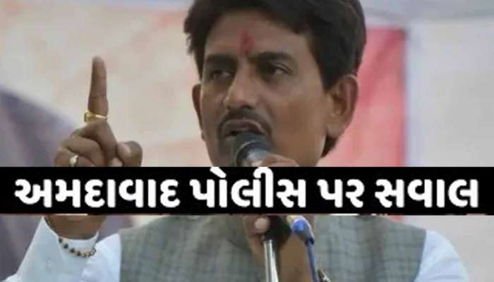 'ભ્રષ્ટ અધિકારી-નેતાઓના કારણે અસામાજિક તત્વો બેફામ બન્યા', BJP ધારાસભ્ય અલ્પેશ ઠાકોરનું મહત્વપૂર્ણ નિવેદન