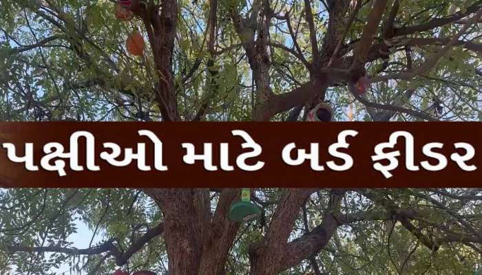 આ યુવકનો પક્ષીઓ પ્રત્યે 'જબરો પ્રેમ'; વેસ્ટમાંથી બનાવી ખાસ વસ્તુ, આ રીતે થશે ઉપયોગી