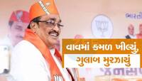 વાવમાં કમળ! પાટીલની સેનાએ એવું શું કર્યુ કે માવજી પટેલ સહિત કોંગ્રેસનો ઉતરી ગયો પાવર